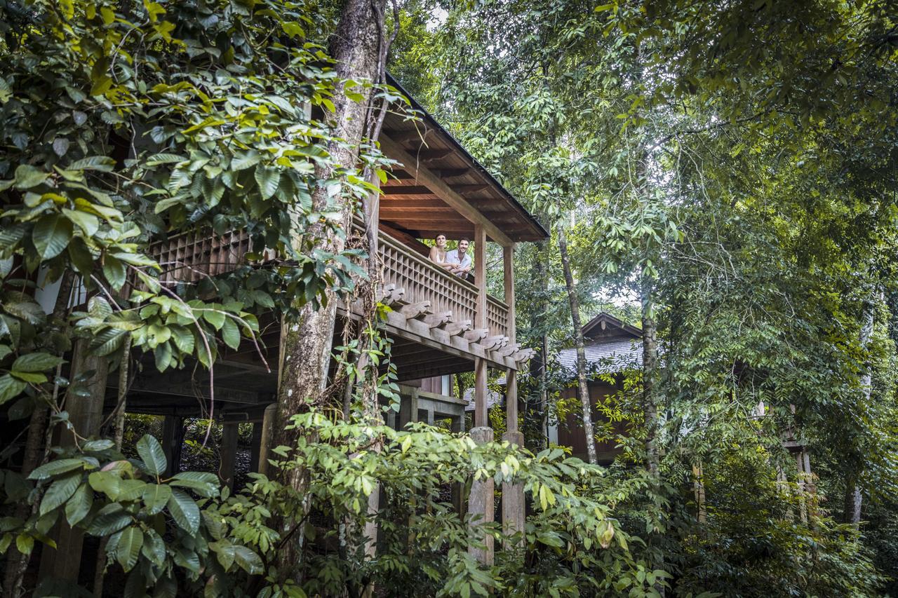 Rainforest Villa King or Twin